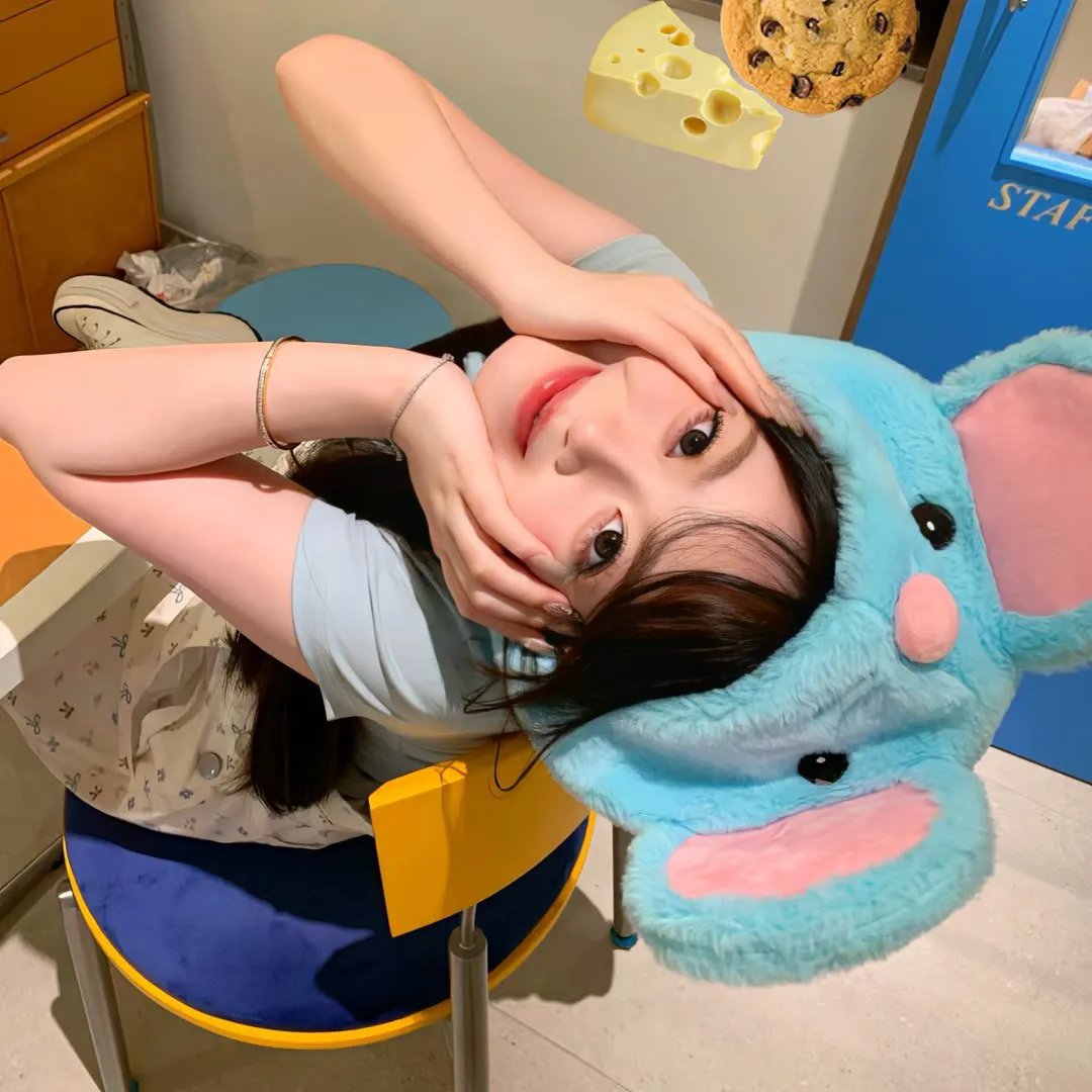 地狱猫
